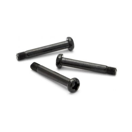 Step Screw 3x20mm (6tk)