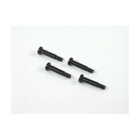 Step Screw 4x20mm (4tk)