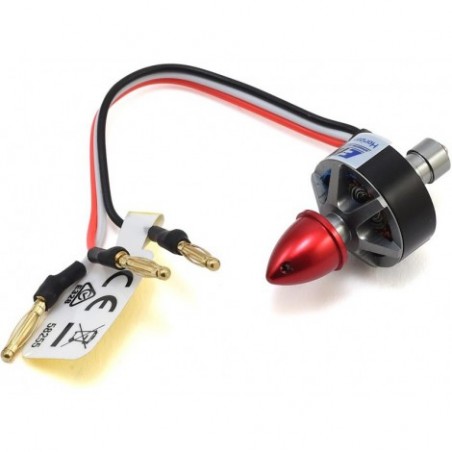 E-flite Brushless Motor...