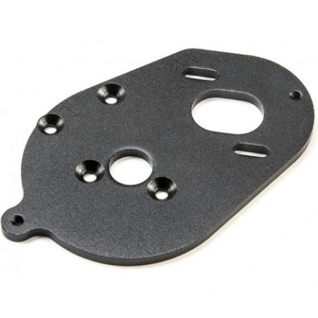 Motor Plate: 22S
