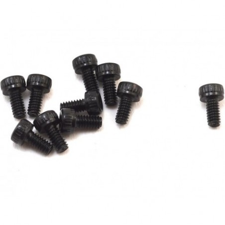 M2 x 4mm Cap Head Screws (10)