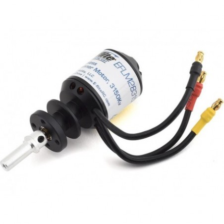 E-flite Brushless Motor...