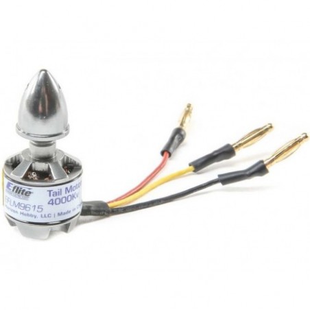 E-flite Brushless Tail...