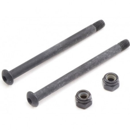 Losi Outer Front Hinge Pin...