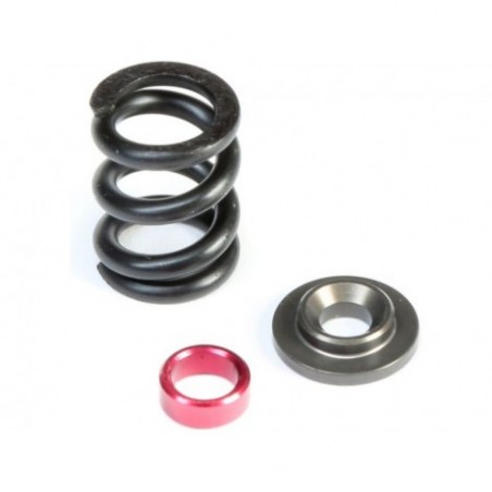 TLR HD Slipper Spring Set,...