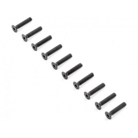 Flat Head Screws, M4x20mm (10)