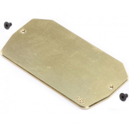 TLR Brass Electronics...