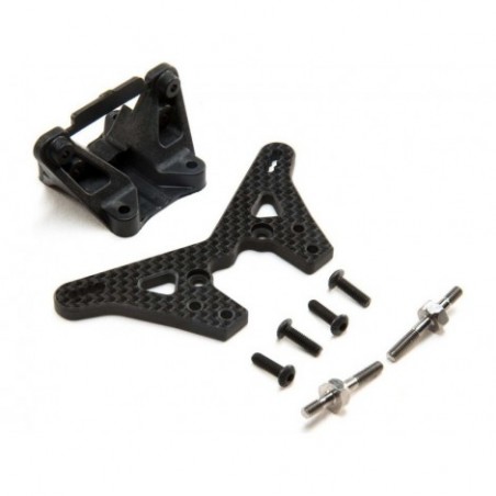 TLR Carbon Laydown Rear...