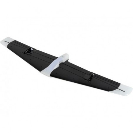 E-flite Painted Wing:...