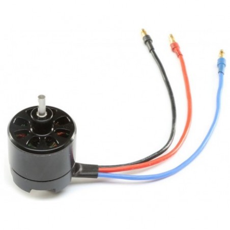 E-flite BL10 Outrunner...