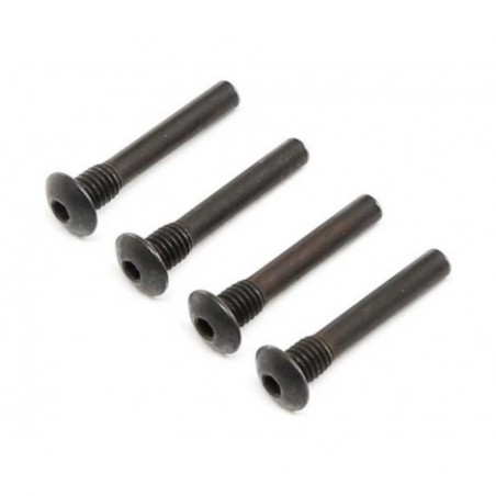 Losi Hinge Pin Screw, Outer...