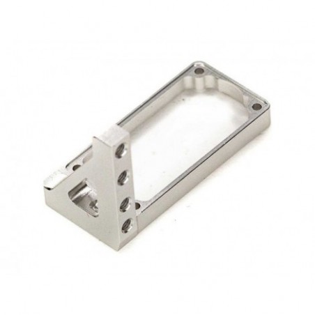 Spektrum RX Mount 6240: TLR...