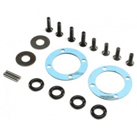 TLR Diff Seal & Hardware...