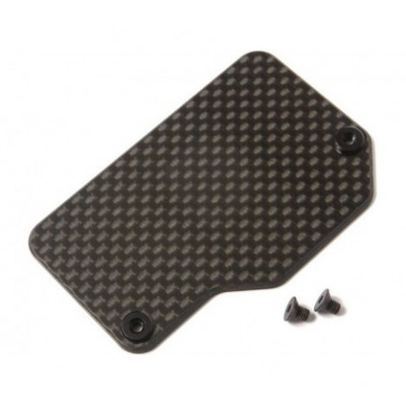 TLR Carbon Electronics...