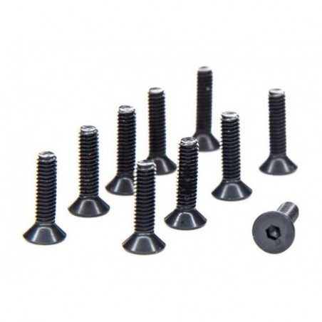 Axial Screw M2,5 x 10mm...
