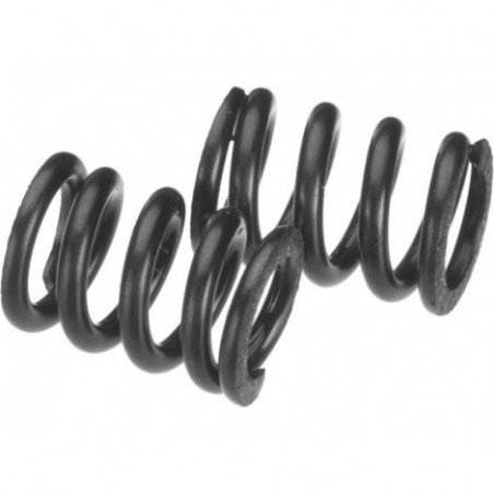 Axial Slipper Spring...