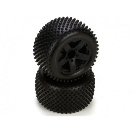 Circuit Tire, Premount,...