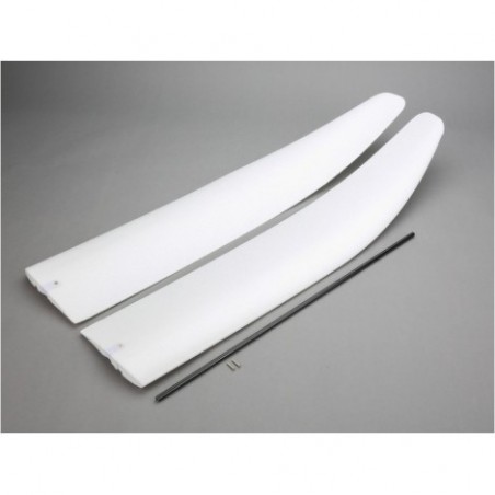 Wing with spar : Radian BNF...