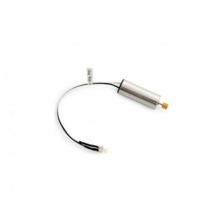 Motor: Ultra Micro Radian