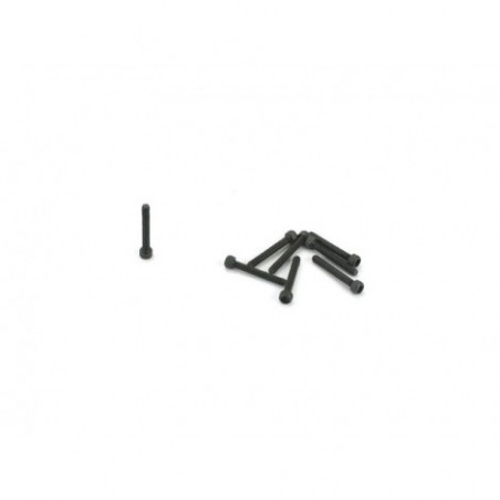 2-56 x 5/8 Caphead Screw (8)