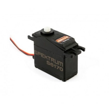 S6170 Standard Digital...