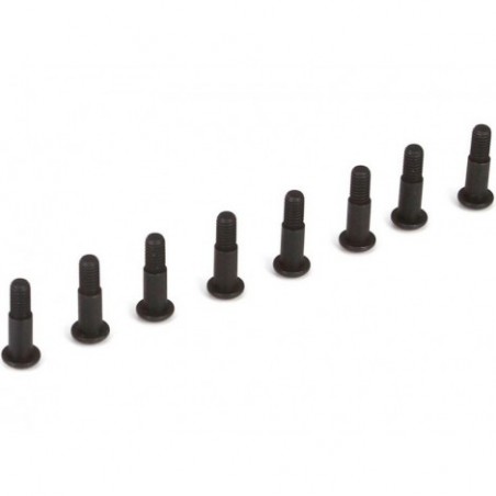 King Pin Screws (8): 22-4