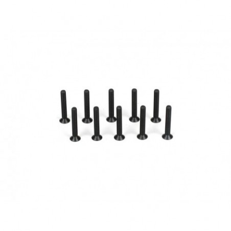 Flathead Screw, M3 x 20mm (10)